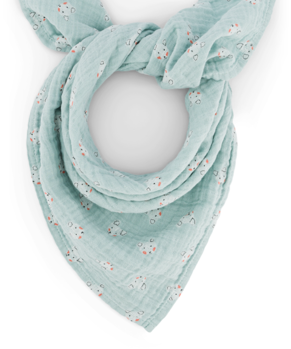 Merliukas 70x70 "BIANCA TEDDY BLUSH BLUE"